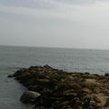 DSCF1684 (37)