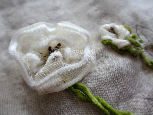 blog miss7