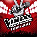 The voice a toulouse