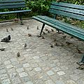 28082011-P1350829