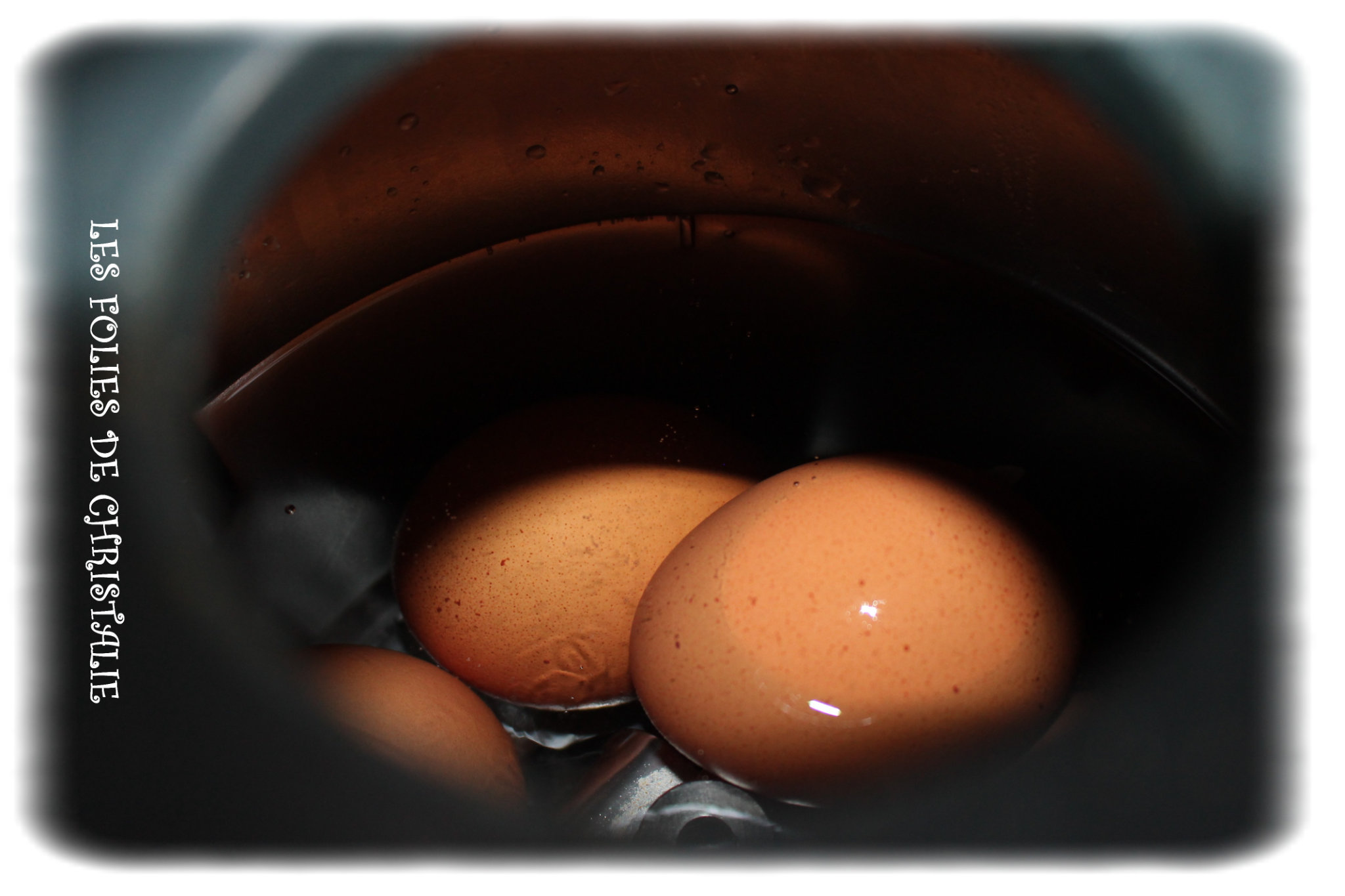 Cuisson des œufs au Thermomix TM6 