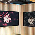 IMG_20191014_150840 (Copy)