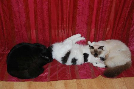 22-08-11 L'heure de la sieste