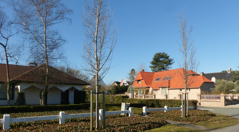 P1120706