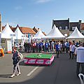 IMGP3147