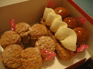 blog_pat_reves