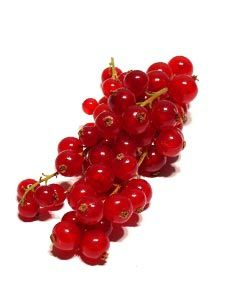 groseille1