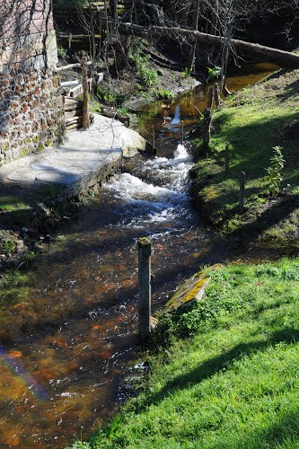 Photo-ruisseau-Escource