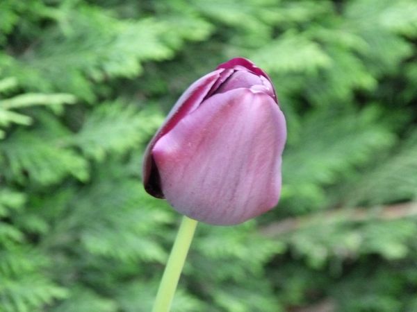 P1070846