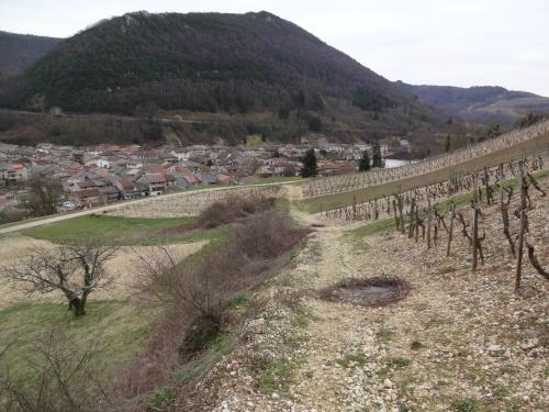 N Cerdon et son vignoble