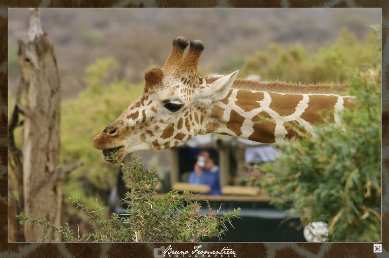 Kenya 11b