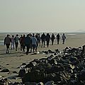 IMGP8191