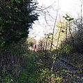 IMGP9847