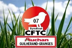 LOGO AUCHAN GUILHERANDTERRRR