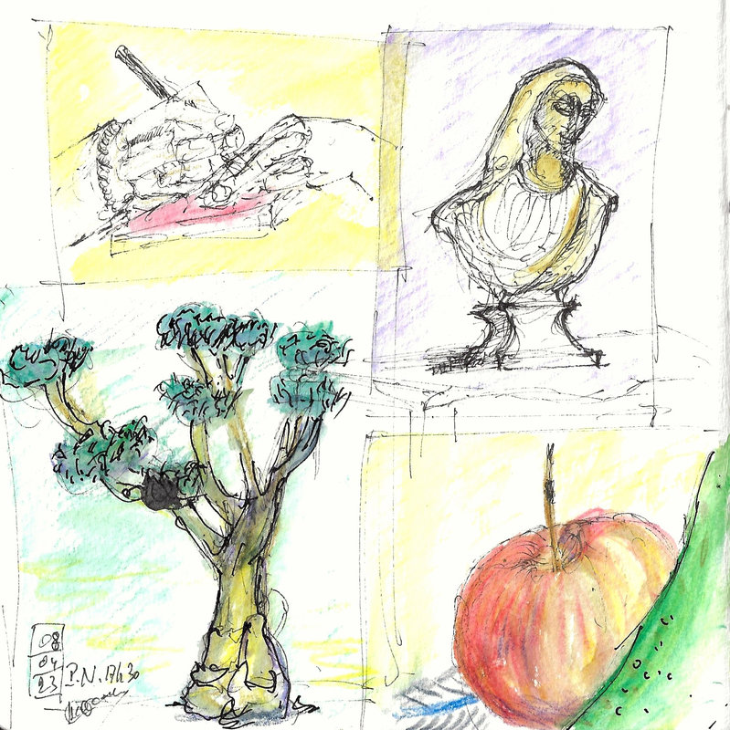 PN avril 2023 page de carnet 20 rue du Petit Mousse