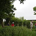 _IGP4659