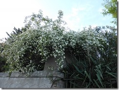 P1100072