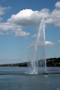 IMG_9247