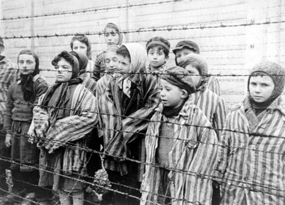 auschwitz-enfants-barbeles