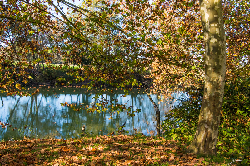 12112015-EO5A3426