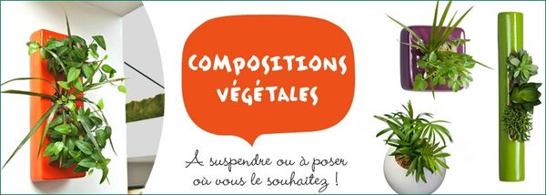 778x278_compositions-vegetales