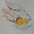 tableaux de nus dessin et peinture (11)
