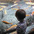 Changer d'avis sur l'aquarium de paris (cineaqua)