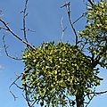 P1080455