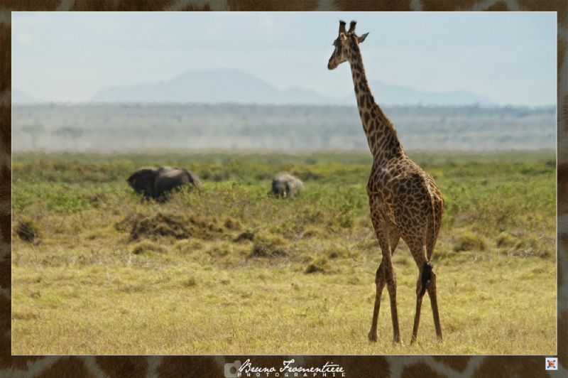 Kenya 13b