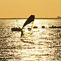 IMG_8564