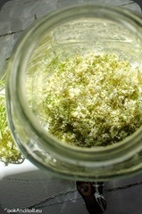 Sirop-sureau-1