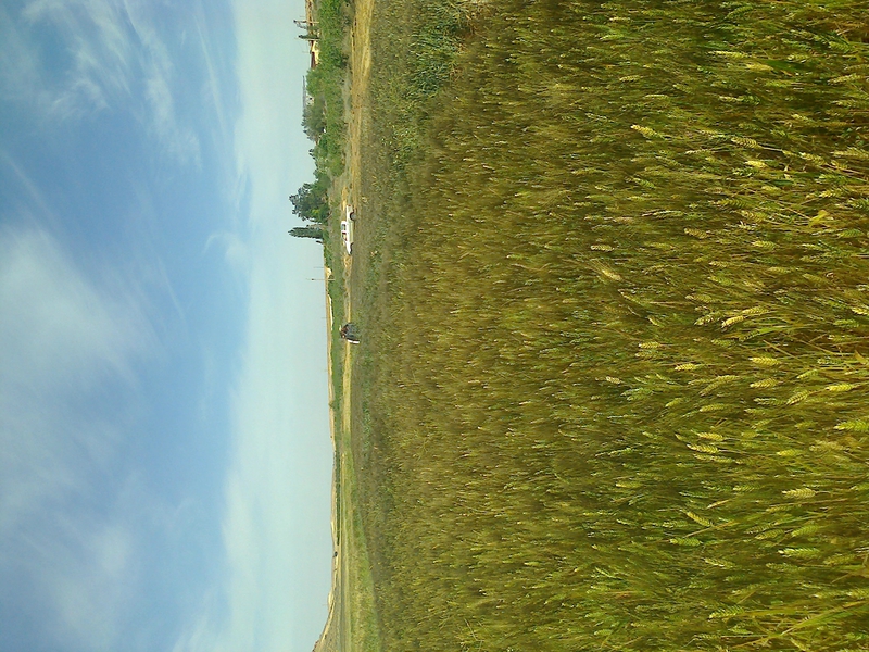 Photo0119