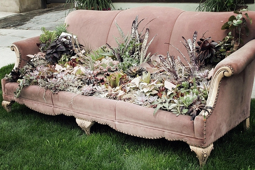 jardin dans la decobelge (238)