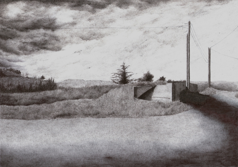 Wasteland, Pierre, stylo bille sur papier, 11,4x22,8, 2014