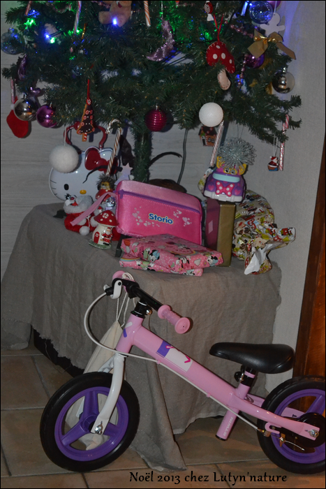 noel 2013 SAPIN BLOG
