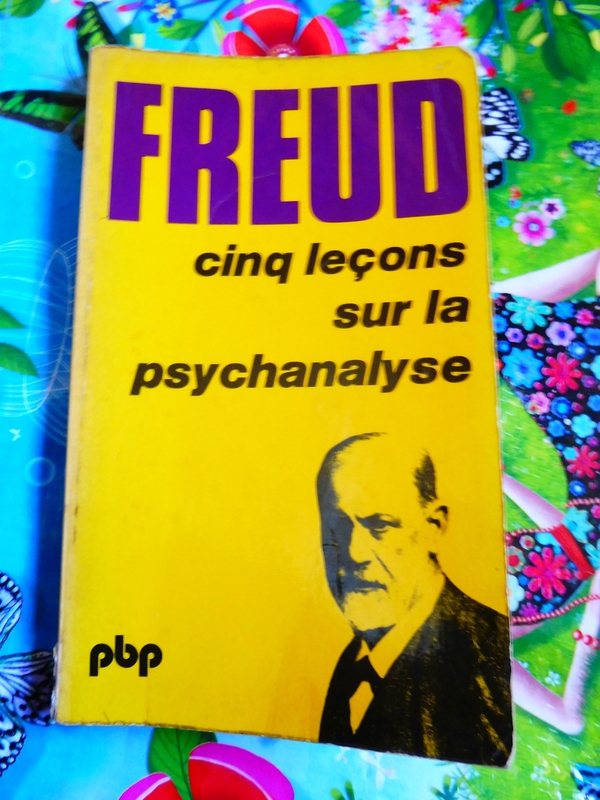 CINQ LEÇONS SUR LA PSYCHANALYSE Amaya et Les Livres