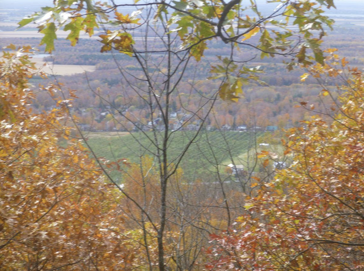 Réserve naturelle Gault au Mont Saint Hilaire (près Montréal, sudouest