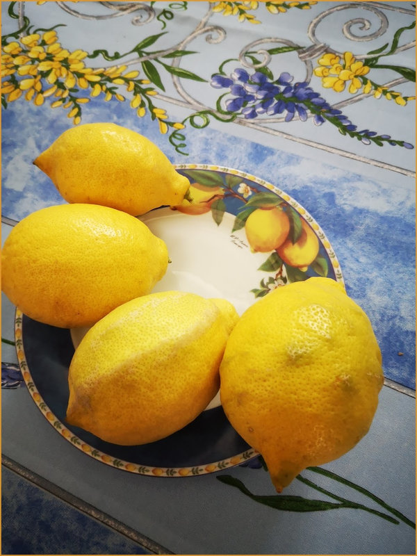 citronprintemps3