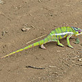 P1130794