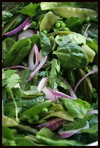 PN_salade_4