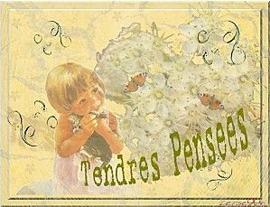tendres-pens-es.jpg