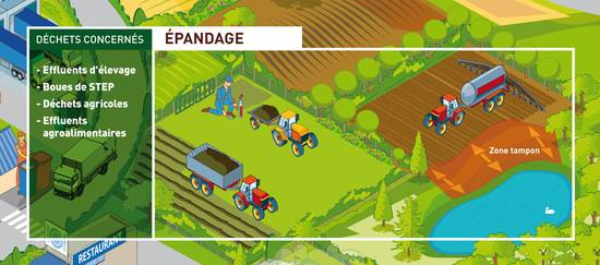 Epandage plan de champs