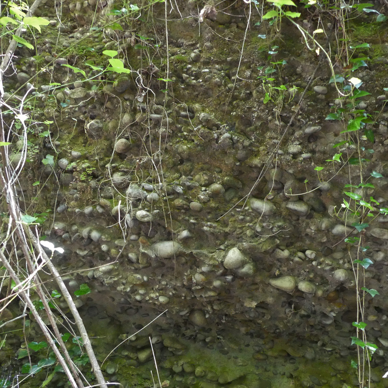 P1120724 (2)