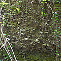 P1120724 (2)
