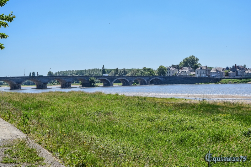 Dumnacus Les Ponts-de-Cé CONTES ET LEGENDES D’ANJOU