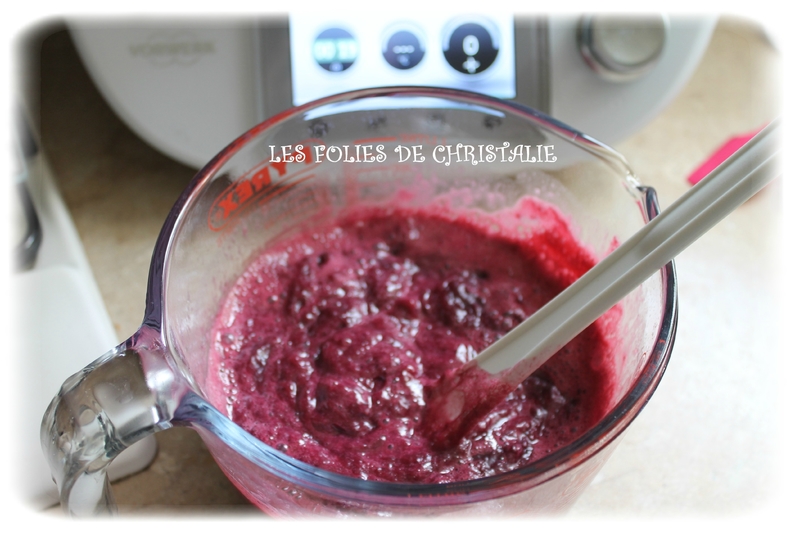 Fruits rouges curd 5