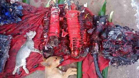 Puissant Génie Fétiche Gambada pour séparer deux personnes rapidement rituel de séparation Grand Maitre Marabout Nabil du Bénin 0022998168689