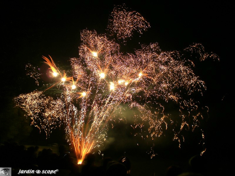 Feu d'artifice 14 juillet