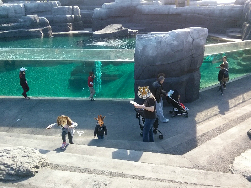 Bassin des (futures) otaries ©Kid Friendly