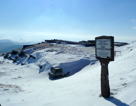 P1050946